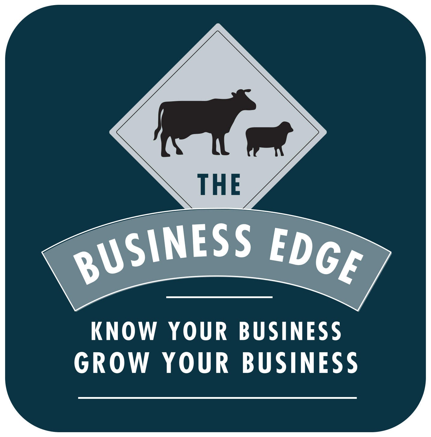 Brisbane Business EDGE Workshop - TEST